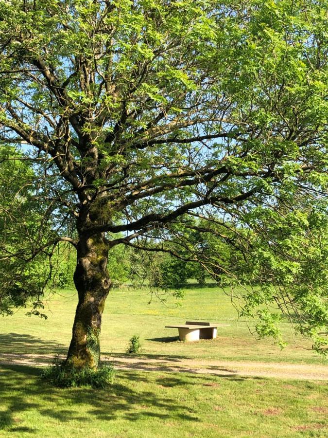 Domaine De Tapies 2 Gites Jusqu A 19 Personnes Cornus Экстерьер фото